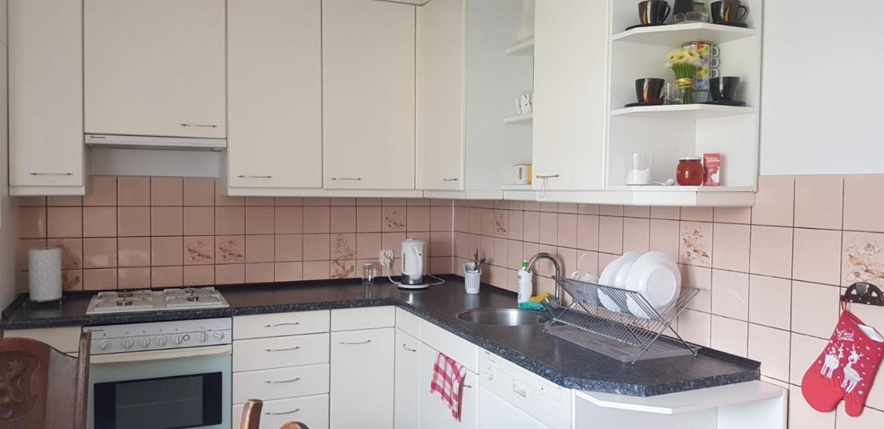 Swierkowy Zakatek Krasnobród Buitenkant foto